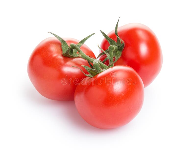 Fresh tomatoes with branch stock photo. Image of agriculture 29936662