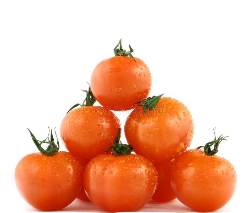 780 Six Tomatoes Stock Photos - Free & Royalty-Free Stock Photos