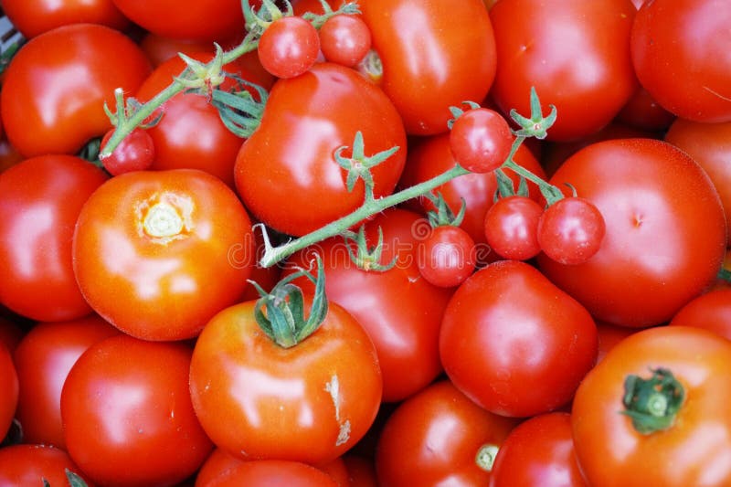 fresh tomatoes texture