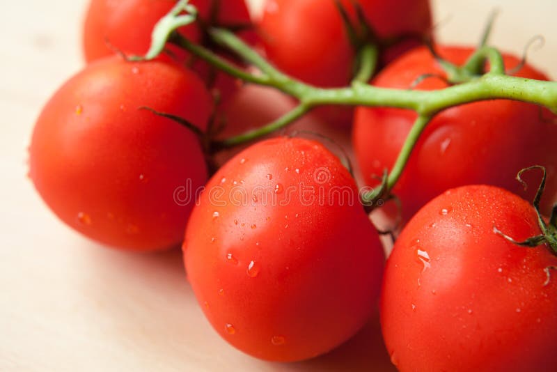 Fresh tomatoes stock photo. Image of fres, menu, water 43684366