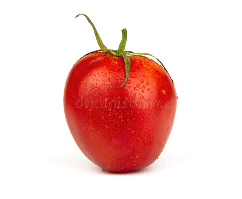 Fresh tomatoes on a white background  Food  Red color.