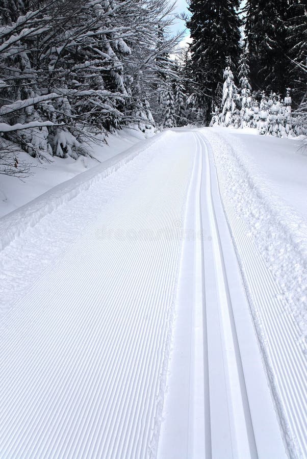 Fresh track for cross-country skiing through the forest with lots of snow