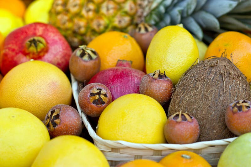 Fresh tropical fruits stock photo. Image of kiwi, grapefruit 23855314