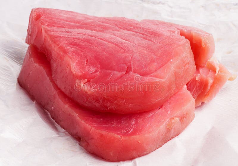 Bluefin Tuna Seina stock photo. Image of fish, fishing 1426566