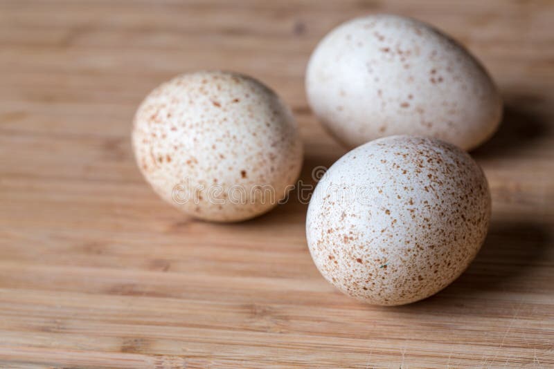 Fresh turkey eggs stock image. Image of ingredient, object 31185085