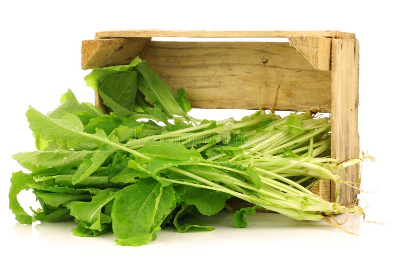 Fresh Turnip Tops (turnip Greens) Stock Image Image of culinary
