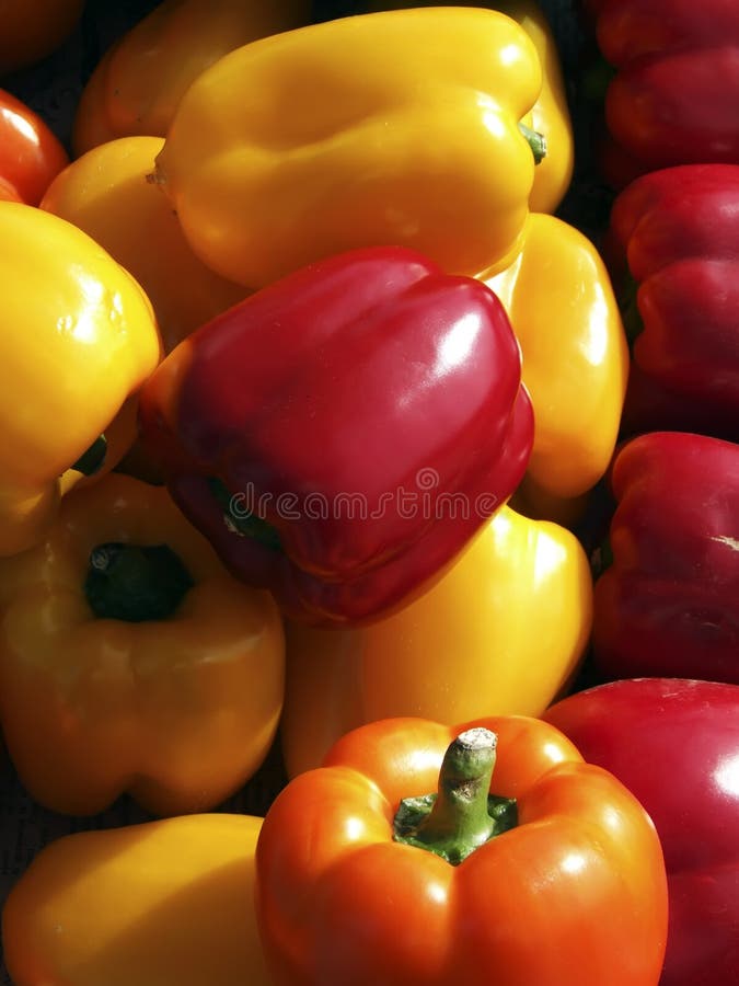 Fresh Veg stock photo. Image of recipe, season, dine, bell 2135830