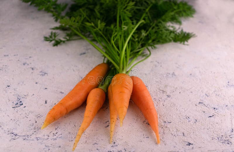 Fresh Vegetable Carrots with Leaves, on a White Background. Stock Image
