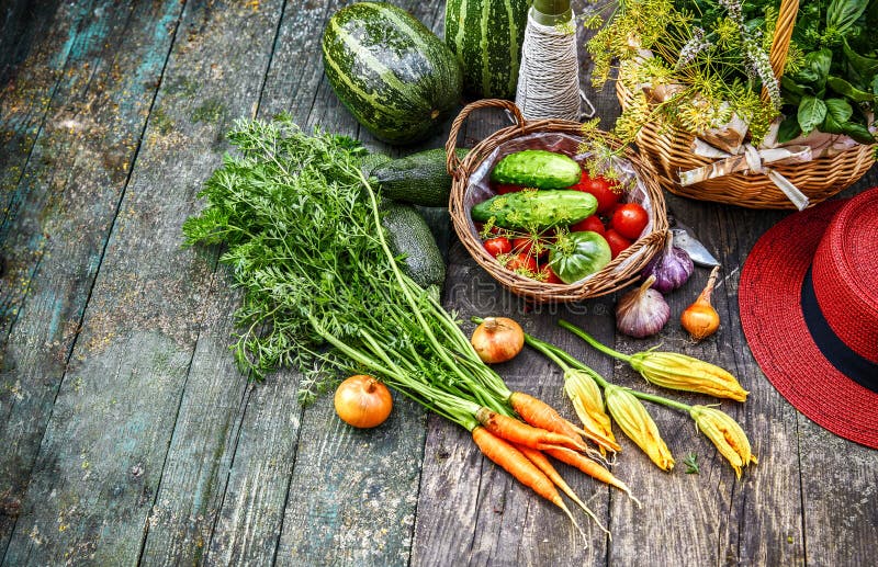 Fresh vegetable and herb at old wooden stock photos Fresh vegetable and herb at old wooden stock photos
