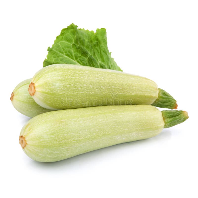 Fresh vegetable marrow