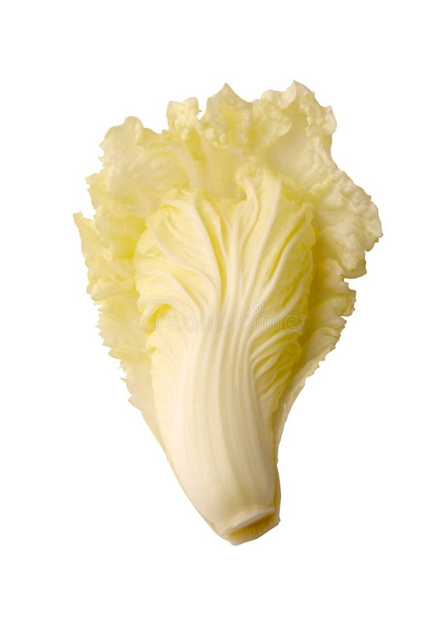 Fresh vegetable on white with leaves