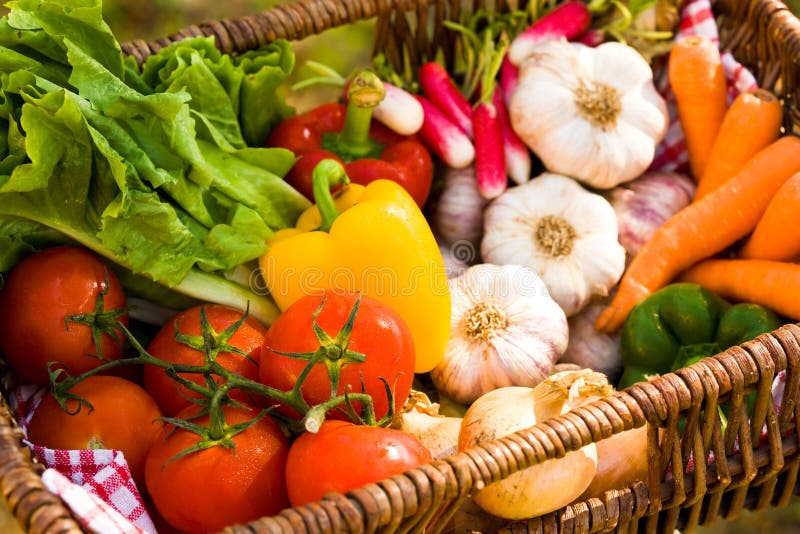 Fresh vegetables. stock photo. Image of basket, yellow 13253624