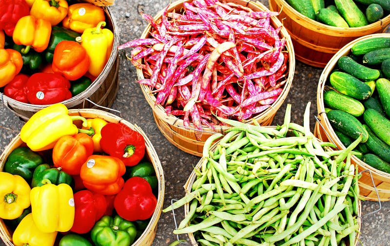 Fresh Vegetables stock photo. Image of nice, market, farmer 22480376