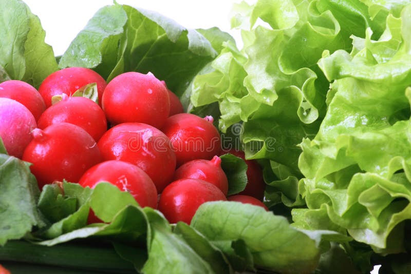 Fresh vegetables stock photo. Image of close, fresh, fruits 5729982