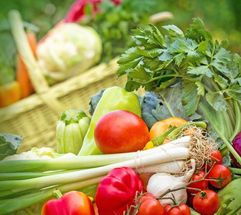 Fresh Vegetables Healthy Food Stock Image Image of green, broccoli