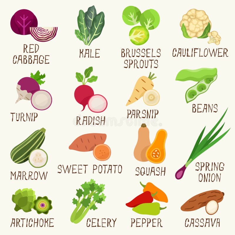 Vegetable Names Stock Illustrations – 195 Vegetable Names Stock  Illustrations, Vectors & Clipart - Dreamstime