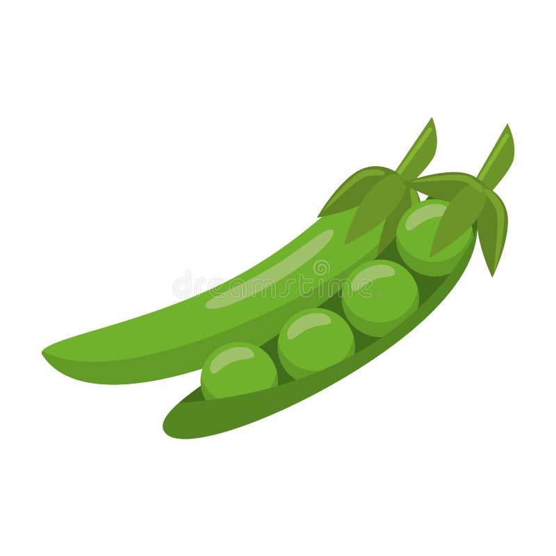 Fresh Vegetables Peas Cartoon Stock Vector - Illustration of nutrition ...