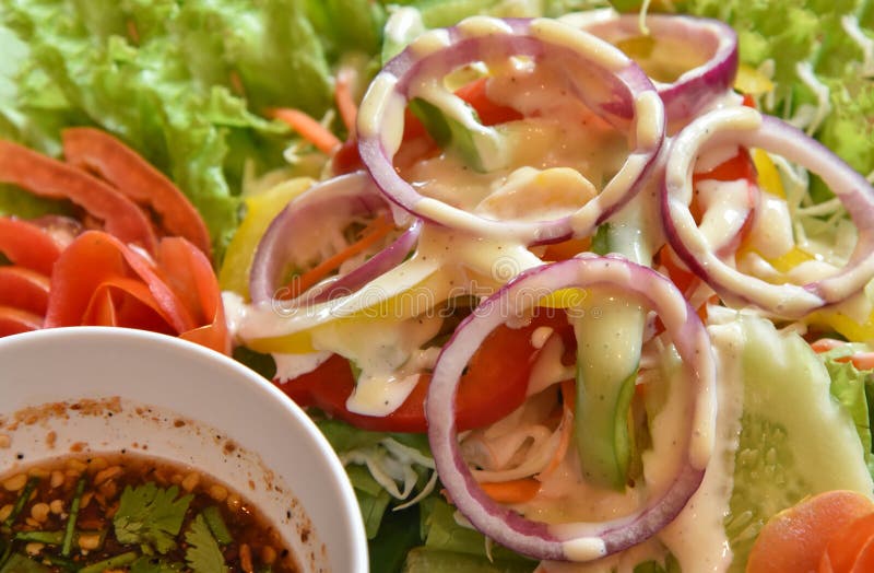 Fresh Vegetables with Sauce Salad Stock Photo Image of close, fajita