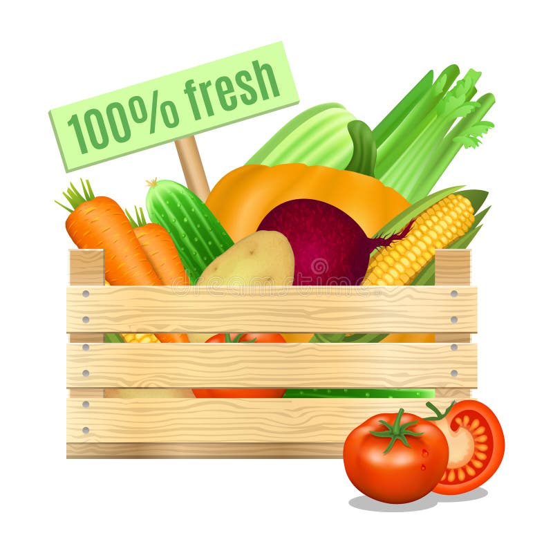 Fresh vegetables in a wooden box on a white background. Vector royalty free illustration Fresh vegetables in a wooden box on a white background. Vector royalty free illustration