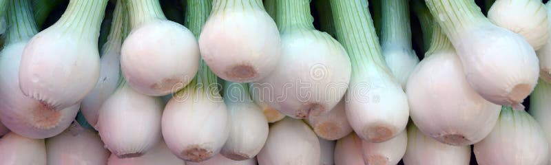 fresh verde vegetablesisolated, macro, natura, fotografia stock fresh verde vegetablesisolated, macro, natura, fotografia stock