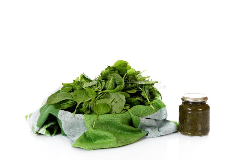 Fresh Versus Canned Spinach Stock Image - Image of nutritious, leaves
