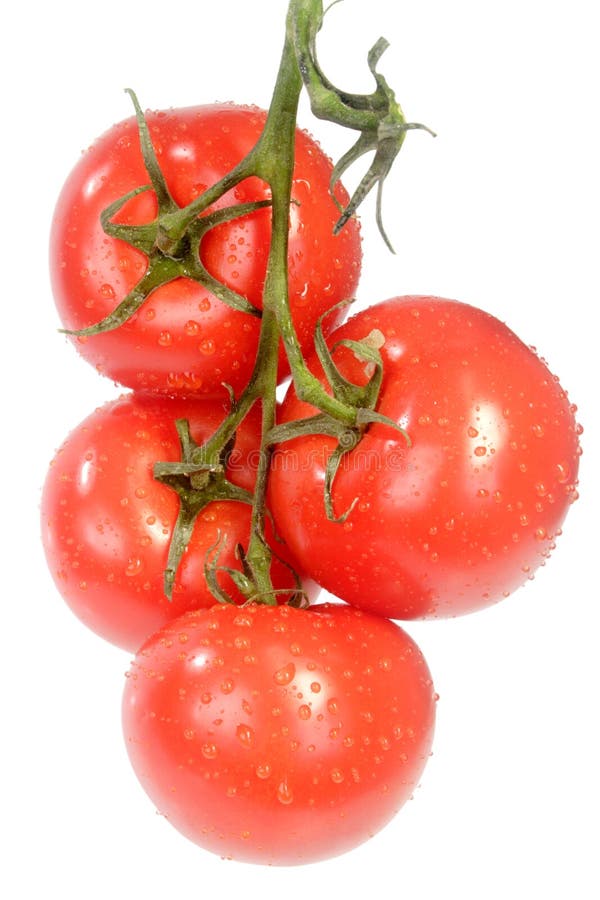 Fresh vine tomatoes