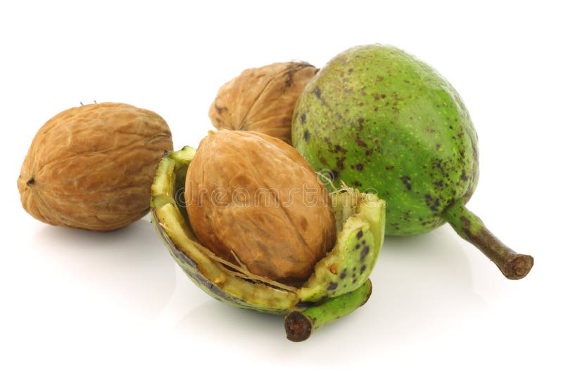 Fresh walnuts (Juglans regia) with shell opened