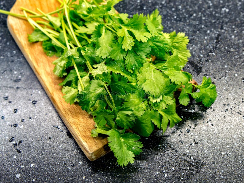 Green Coriander Leaves and Chopper on a Wooden Cutting Board Stock Image -  Image of bunch, chopping: 172190589