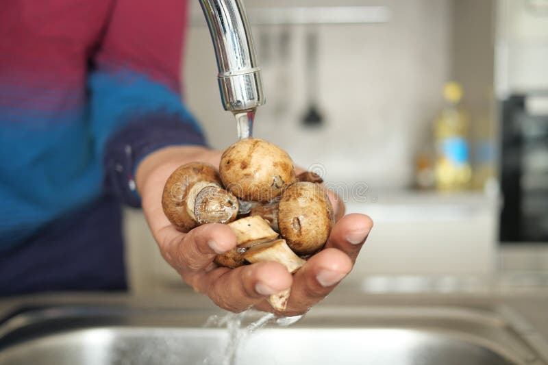 Fresh Washroom Washing with Hand. Stock Image Image of indoor