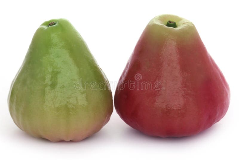 Fresh Water Apple or Rose Apple Stock Photo Image of bell, india