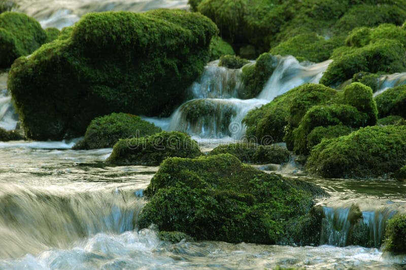 Süßwasser-stream über grüne Felsen.
