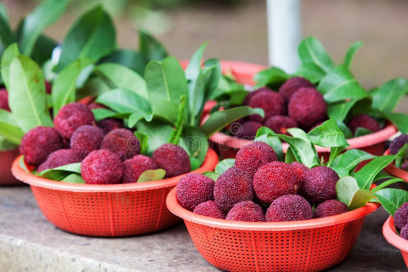 Fresh waxberry in the basket