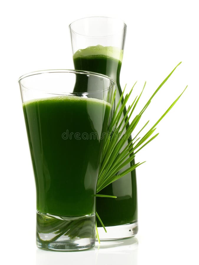 Fresh Wheatgrass Juice in a Glass Healthy Nutrition Stock Photo Image of alternative, green