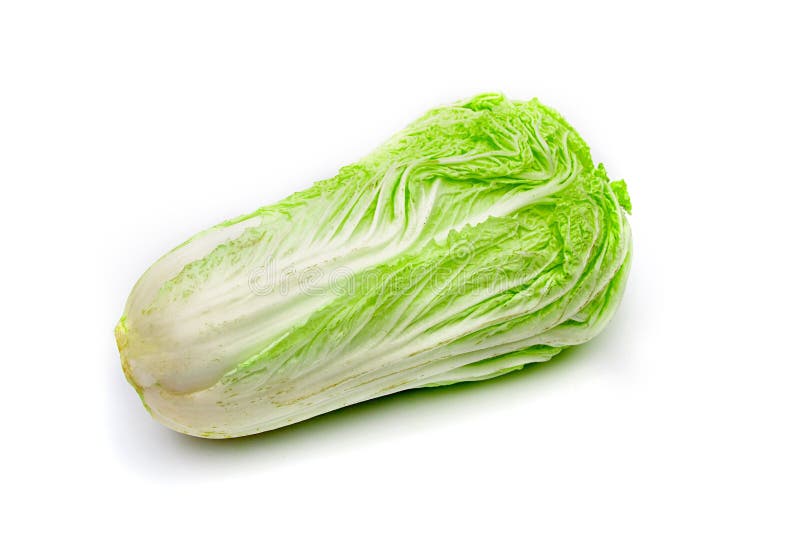 Fresh White Cabbage or Chinese Cabbage on White Background Stock Image