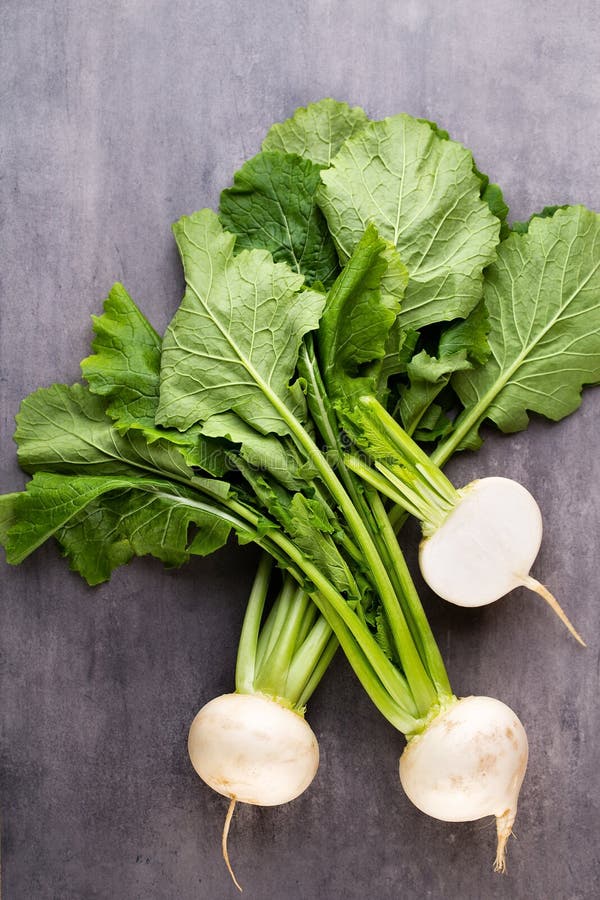 Fresh White Round Daikon Radish Stock Image Image of ingredient, leaves 19600429