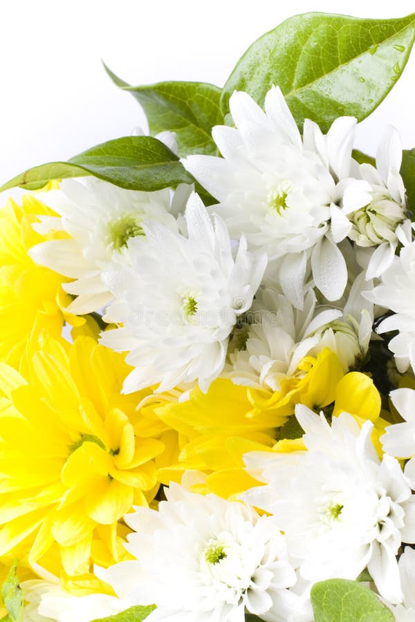 Fresh white and yellow flower arrangement