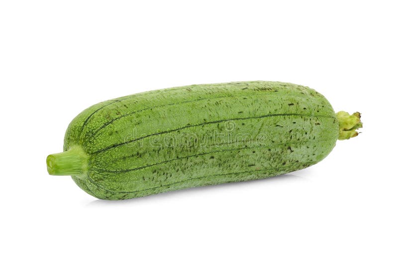 Fresh whole green sponge gourd or luffa isolated on white background