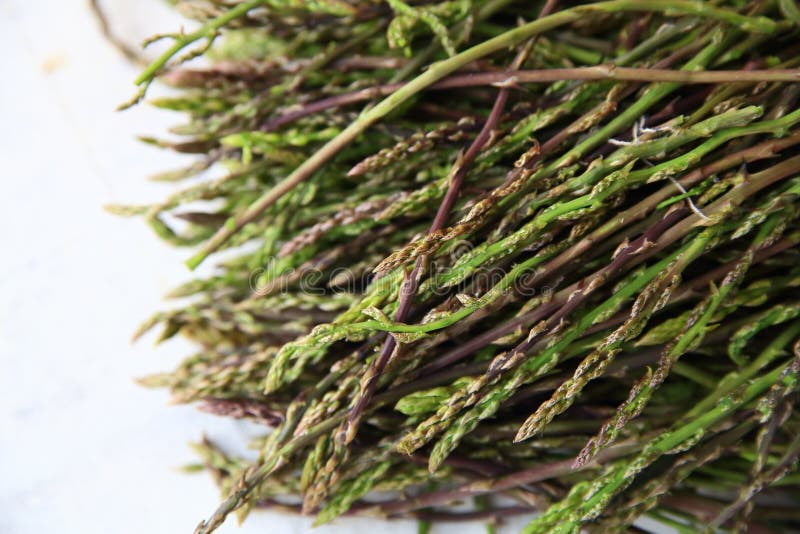 Fresh Wild Asparagus for Background Stock Photo - Image of sunny