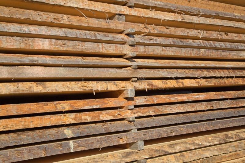 Fresh wooden studs stock photo. Image of nature, natural 130684200