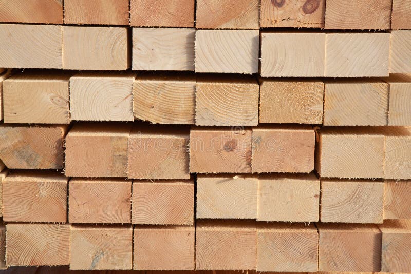 Fresh wooden studs stock photo. Image of estate, industry 195495656