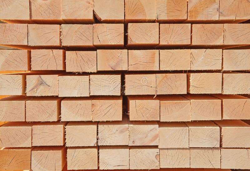 Fresh wooden studs stock image. Image of board, material 33168457