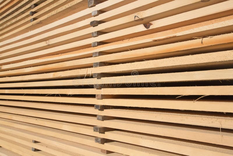 Fresh wooden studs stock photo. Image of color, lumber 83353364