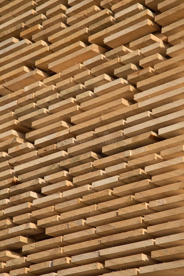 Fresh wooden studs stock image. Image of floor, board 94618201