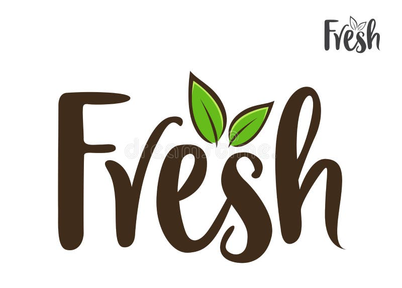 Fresh Word Handwriting Typography Art Stock Vector Illustration of