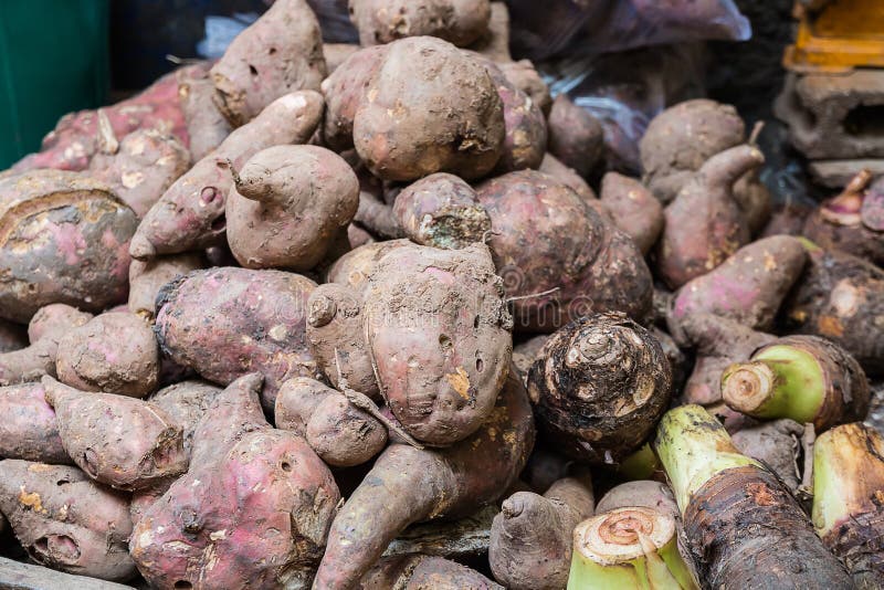 Fresh yam fruit stock image. Image of taro, shop, vegetable 92632295