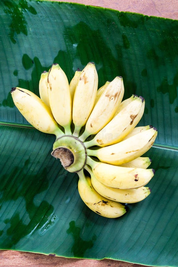 Fresh Yellow Banana on Green Leaf Stock Photo Image of leaf, yellow