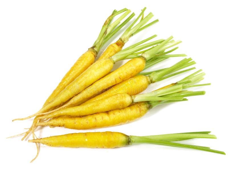 Fresh Yellow Carrots on White Background Isolated Stock Image Image of mini, ingredient