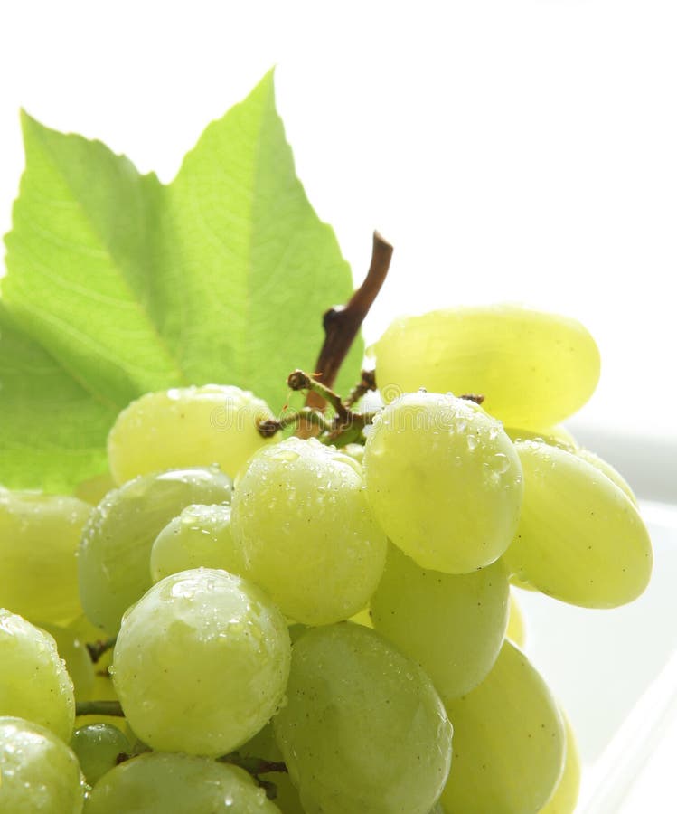 Fresh Yellow Grapes stock image. Image of sweet, tasty 6655953