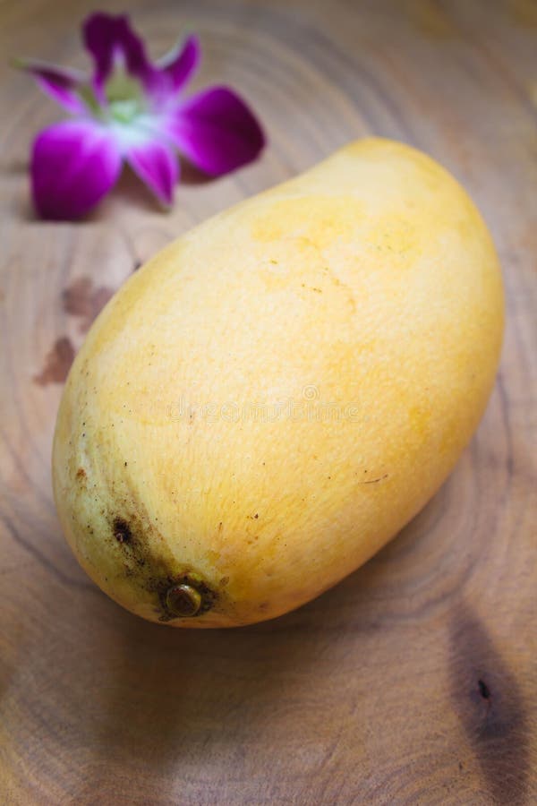 Yellow mango in market. stock photo. Image of full, climate 35482620