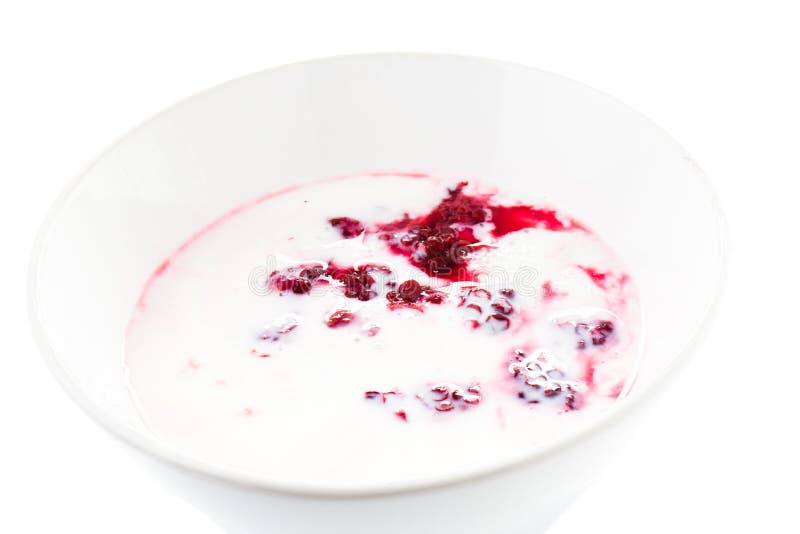 Fresh Yogurt with Blackberry Stock Image Image of delicious, dessert